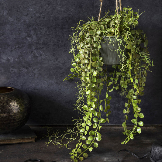 ARTIFICIAL ANGEL HOYA PLANT IN POT