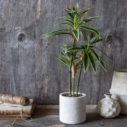 ARTIFICIAL DRACENA