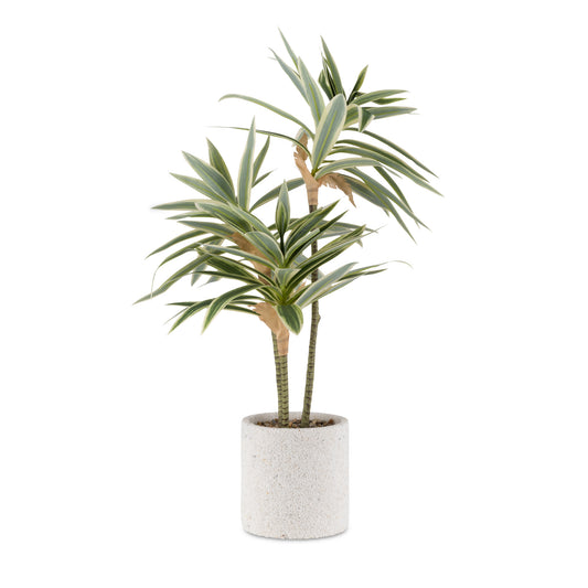 ARTIFICIAL DRACENA