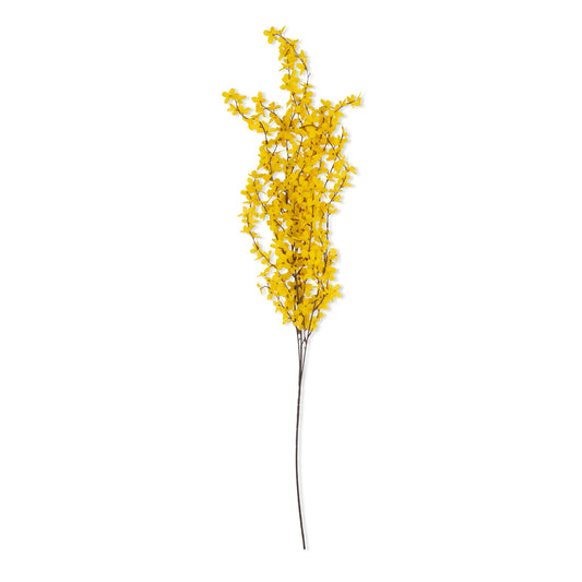 FORSYTHIA