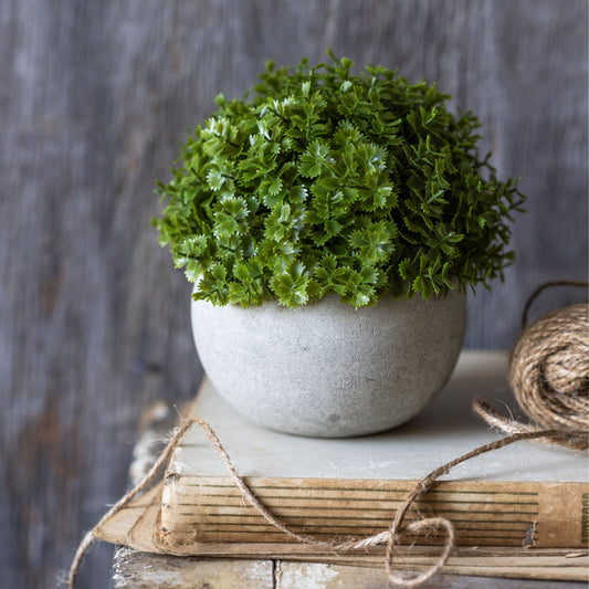 ARTIFICIAL HEBE PLANT IN POT