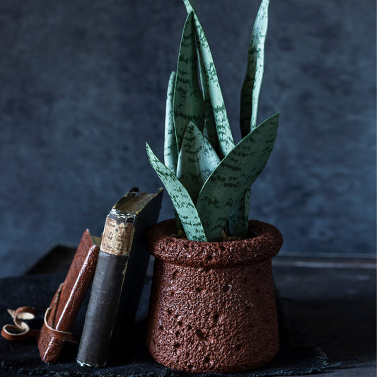 ARTIFICIAL SNAKE PLANT