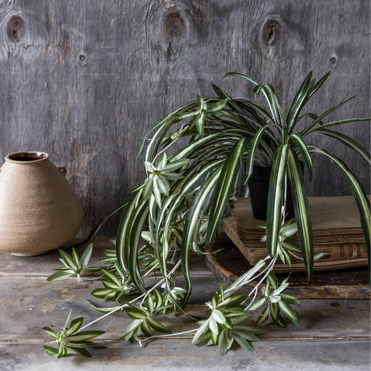 ARTIFICIAL SPIDER PLANT- *Pre-order* Shipping February 2025