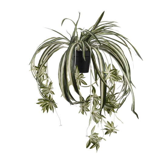 ARTIFICIAL SPIDER PLANT- *Pre-order* Shipping February 2025